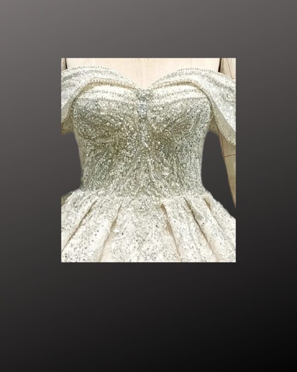 Chest of Glitter lace wedding dress Gown in Champagne color